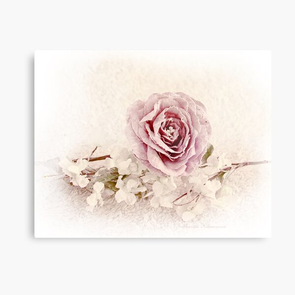 Soft summer Metal Print