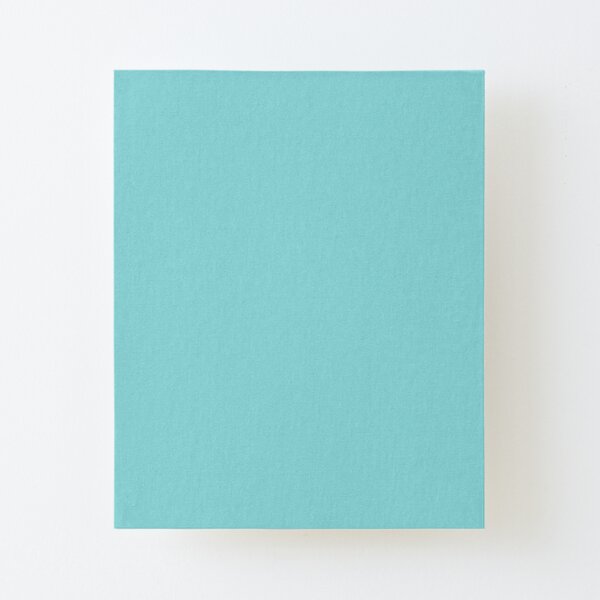 Light Pastel Aqua Blue Solid Color Pairs to Sherwin Williams Spa SW 6765