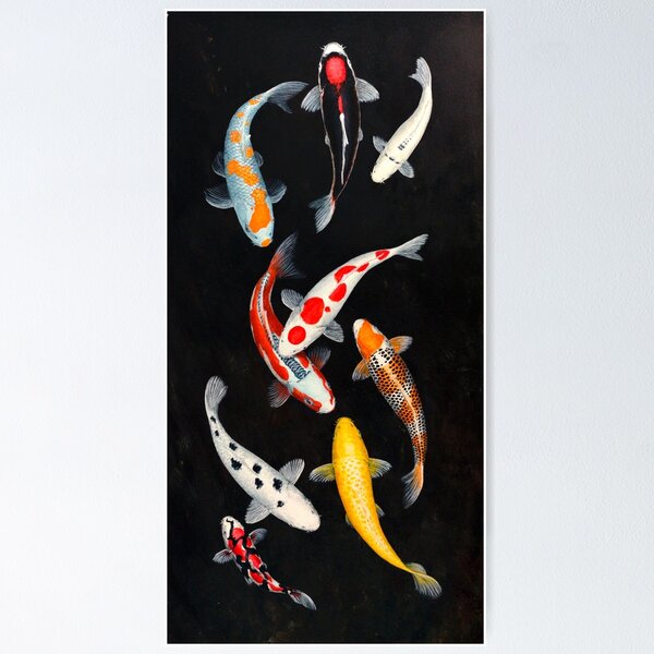 Japanese Koi Posters for Sale