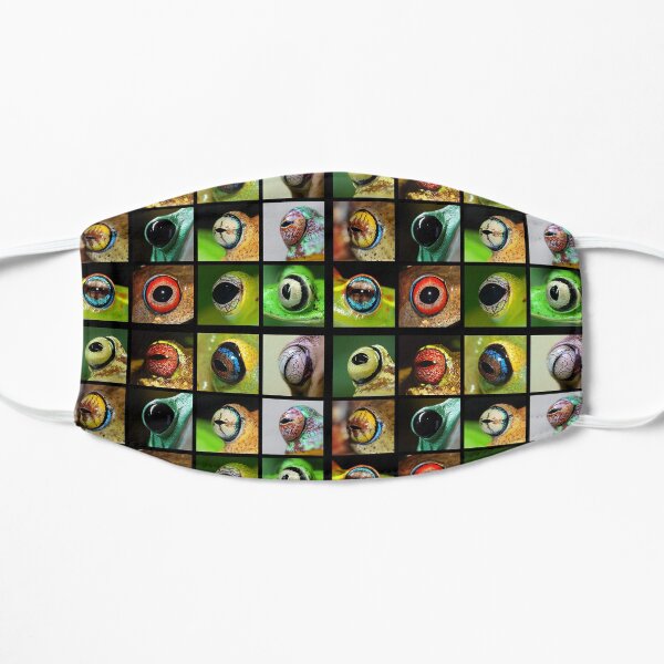 A Rainbow of Frog Eyes Mask