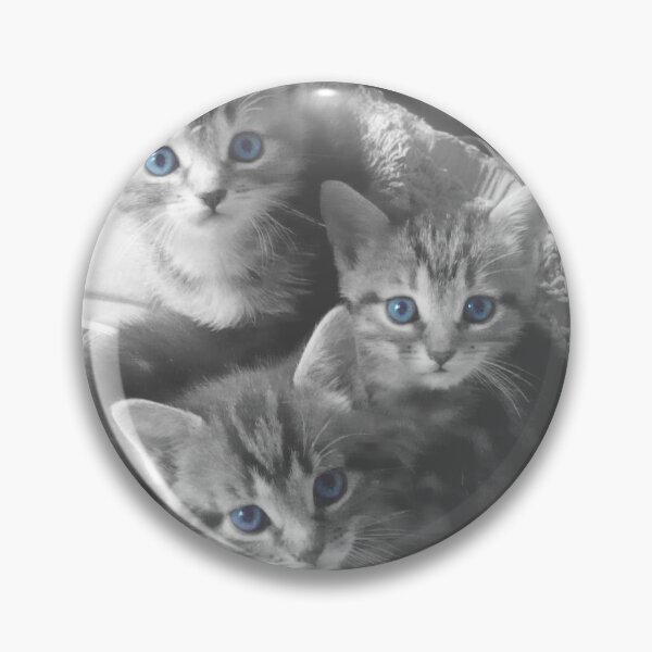 Item preview, 3 kittens with blue eyes designed and sold by un-artiges.