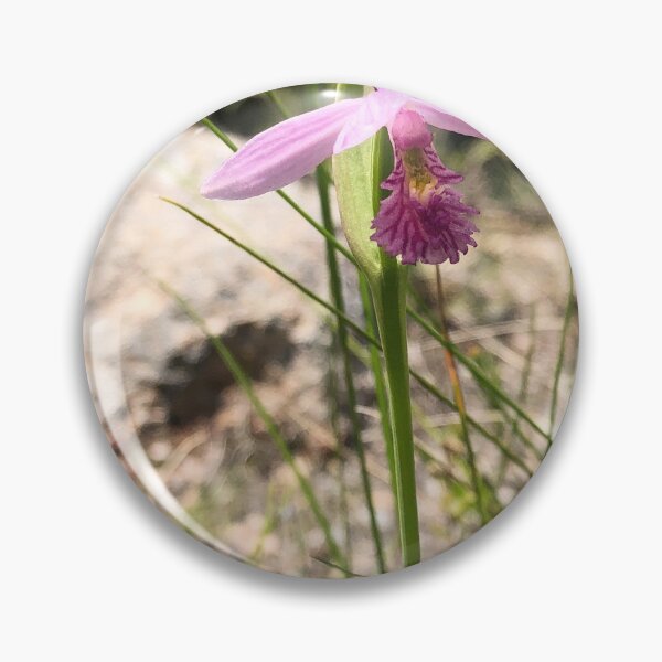Item preview, Rose Pogonia Orchid Found in Mt. Desert Maine designed and sold by Paula Betz.