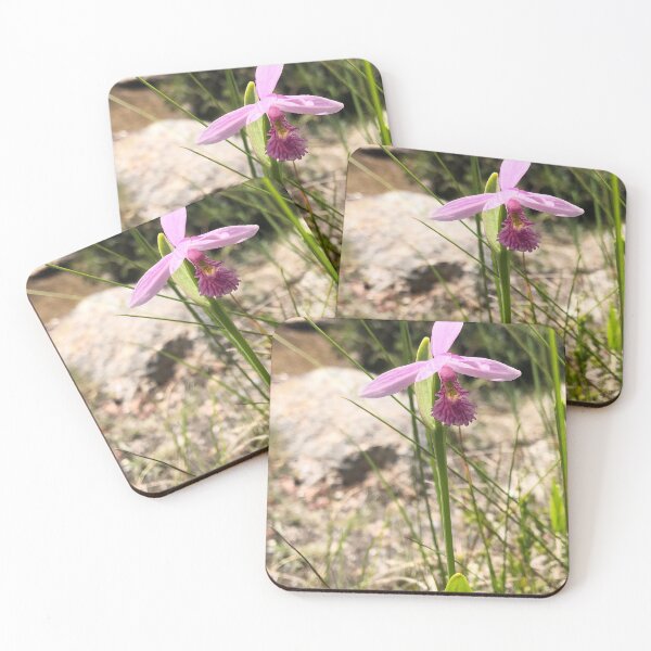 Item preview, Rose Pogonia Orchid Found in Mt. Desert Maine designed and sold by Paula Betz.