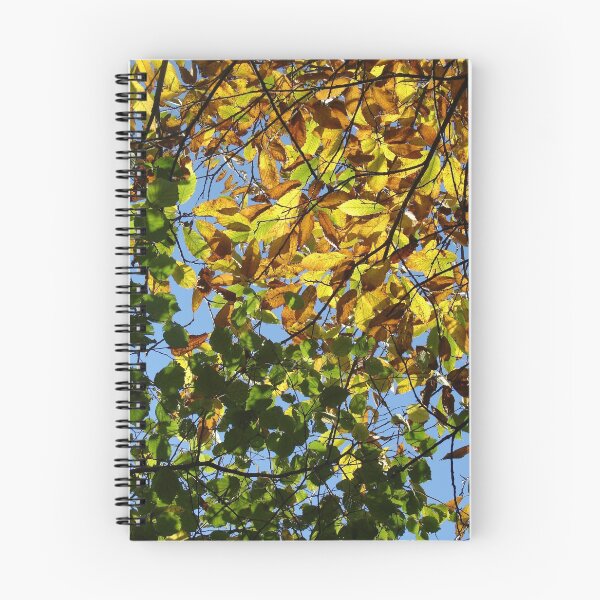 Item preview, Autumn designed and sold by Chris Petty.