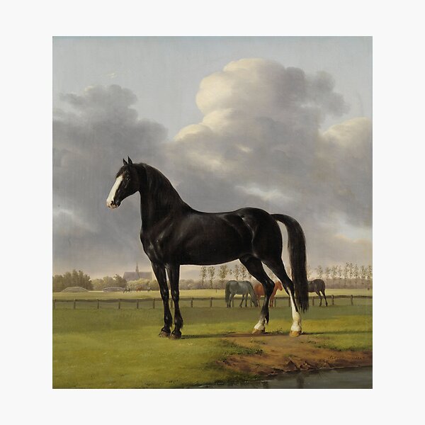 Anthony Oberman - Adriaan Van Der Hoop s Trotter de Vlugge In A Meadow, 1828 Photographic Print