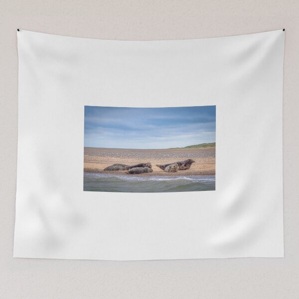 Item preview, Seals at Blakeney Point Norfolk designed and sold by Jim Key.