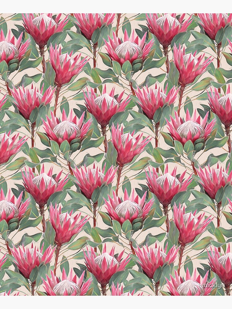 Painted King Proteas on Cream by micklyn
