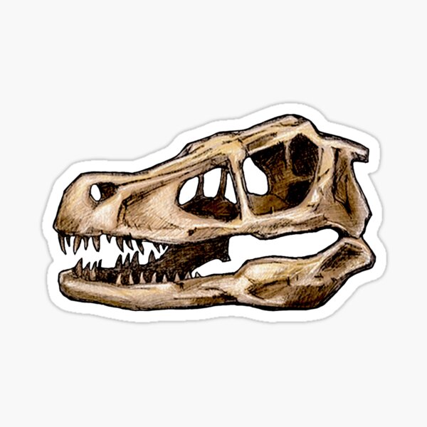 Dinosaur Skull Velociraptor Sticker Sticker