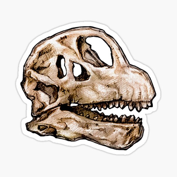 Dinosaur Skull Camarasaurus Sticker Sticker