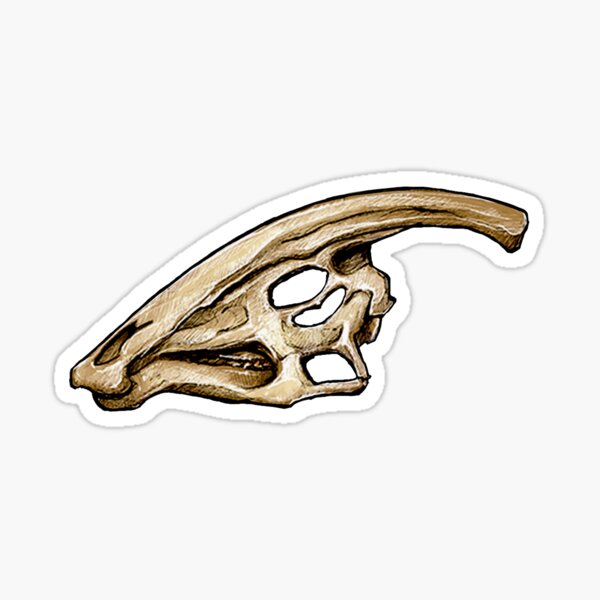 Dinosaur Skull Parasaurolophus Sticker Sticker