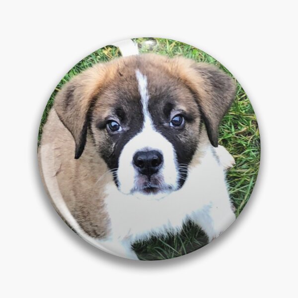 Item preview, St Bernard puppy designed and sold by stretchtees.