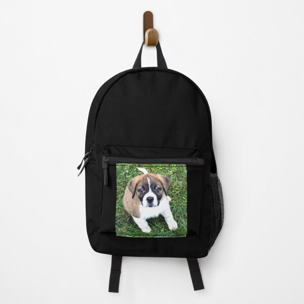 Item preview, St Bernard puppy designed and sold by stretchtees.