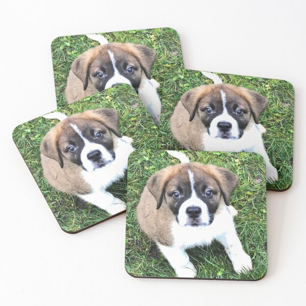 Item preview, St Bernard puppy designed and sold by stretchtees.