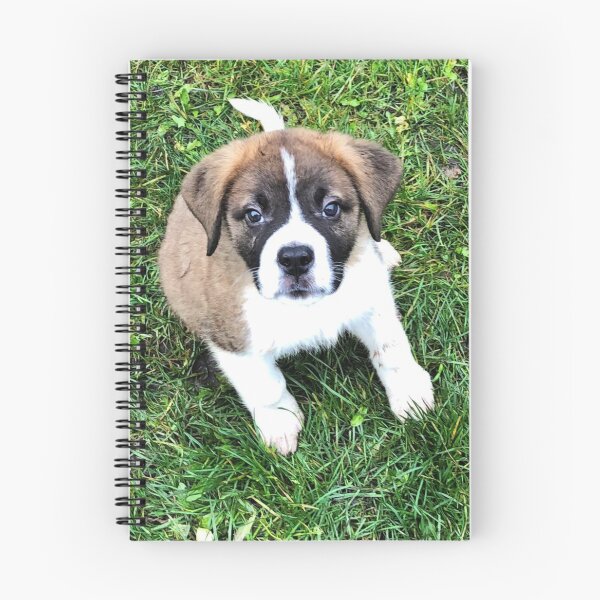 Item preview, St Bernard puppy designed and sold by stretchtees.