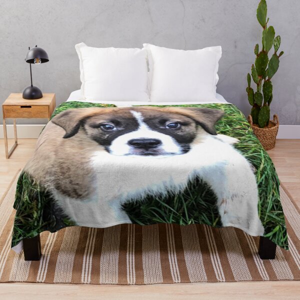 Item preview, St Bernard puppy designed and sold by stretchtees.