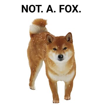 I am not a fox store shiba inu