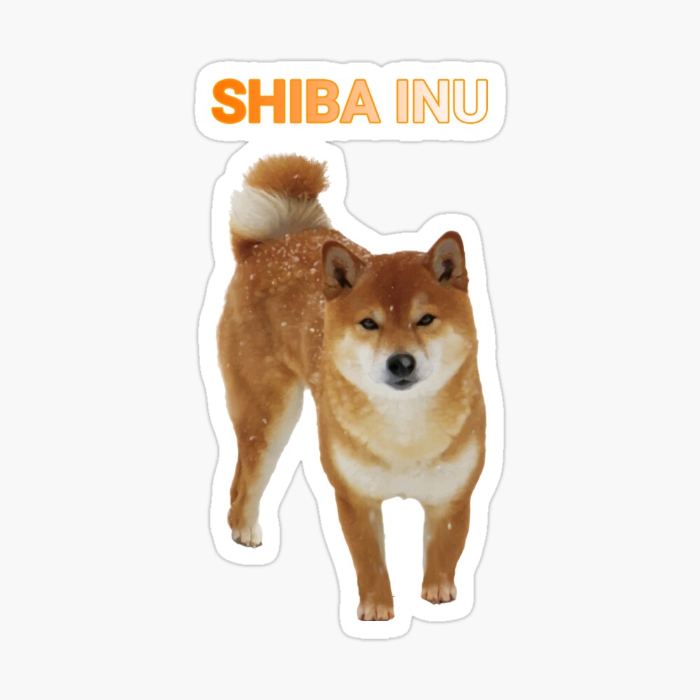 Cute Shiba Inu Poster By Tmagician Redbubble