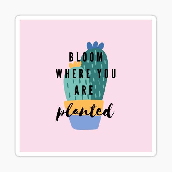 Bloom Where You Are Planted Sticker