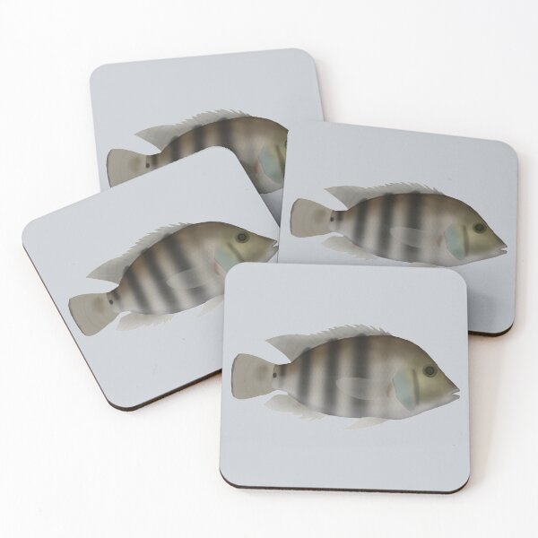 Item preview, Blackthroat cichlid designed and sold by fishfolkart.