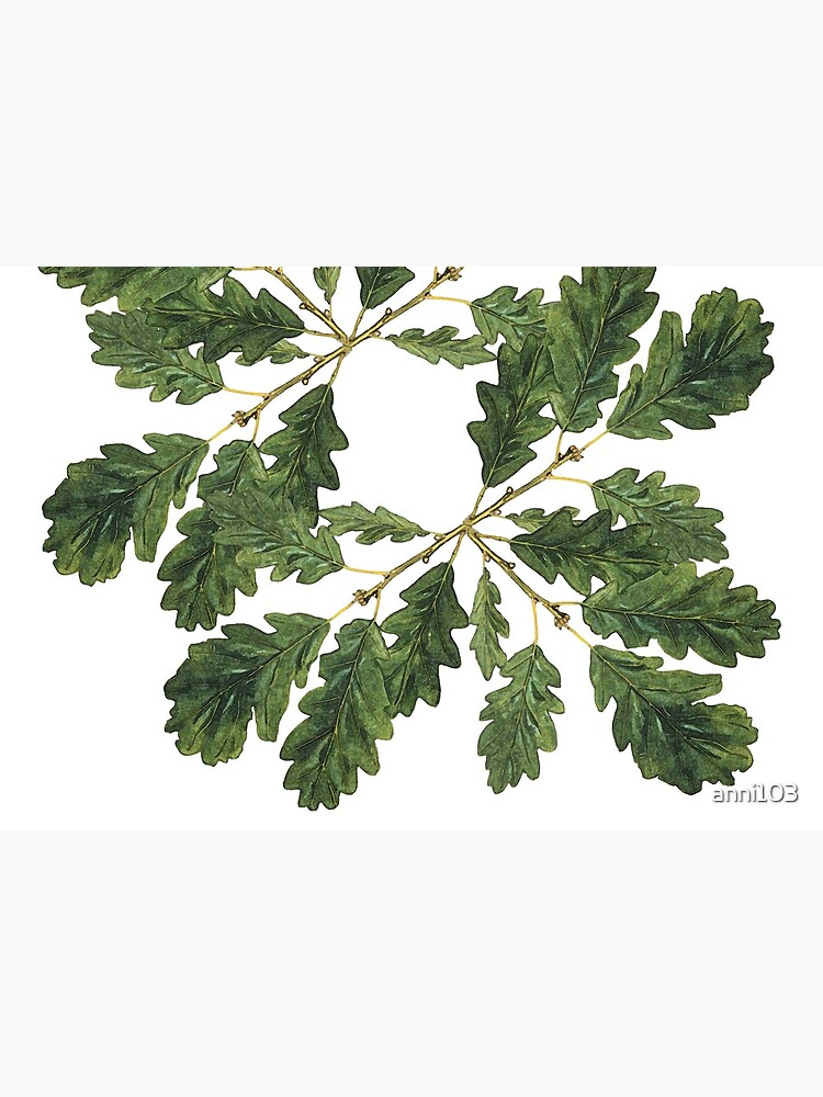 Oak leaf ensemble by anni103