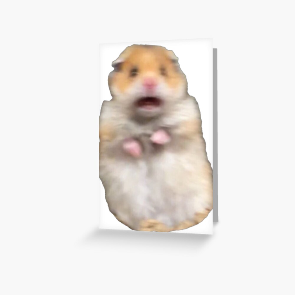 scared-hamster-meme-greeting-card-by-ellievivien-redbubble