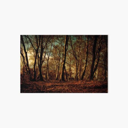Artikel-Vorschau von Herbst, designt und verkauft von Anne Staub.