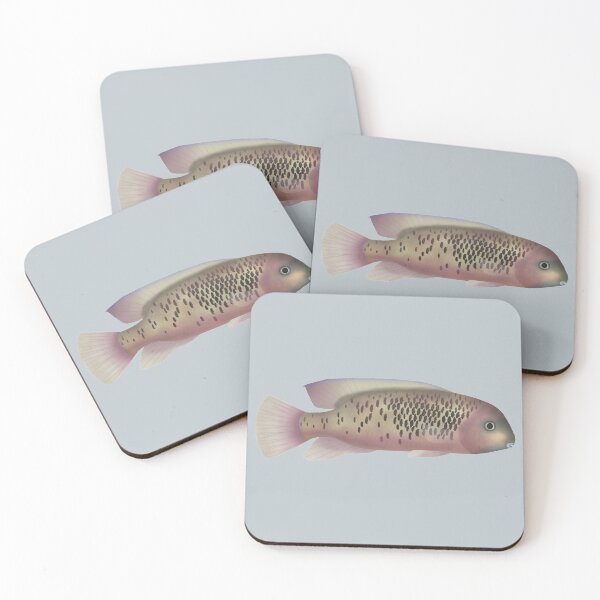 Item preview, Sarabia cichlid designed and sold by fishfolkart.