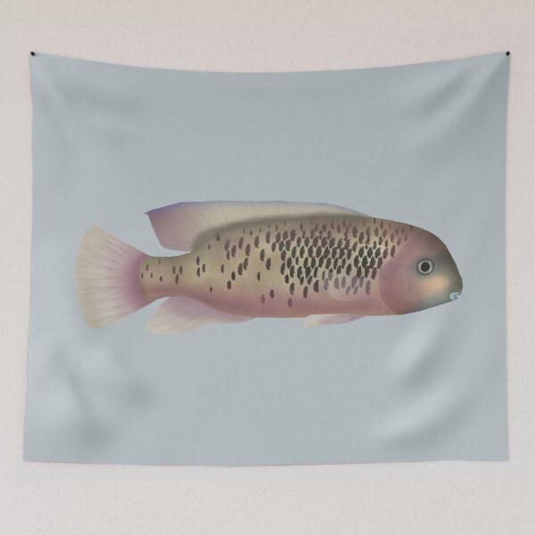 Artikelvorschau, Sarabia Buntbarsch entworfen und verkauft von fishfolkart.