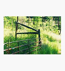 Fence Photographic Print