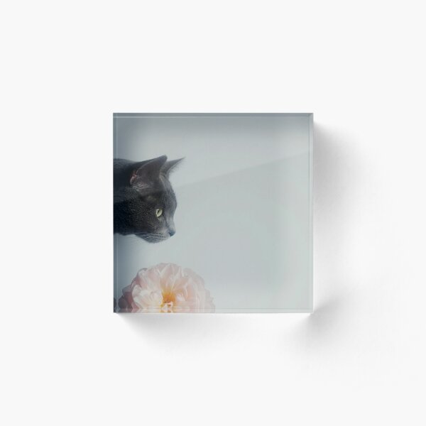 Russian Blue Acrylic Block