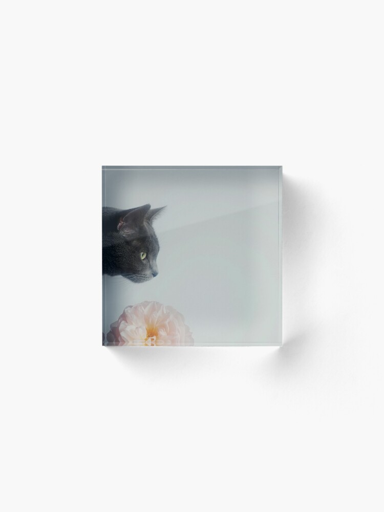 Alternate view of Russian Blue Acrylic Block