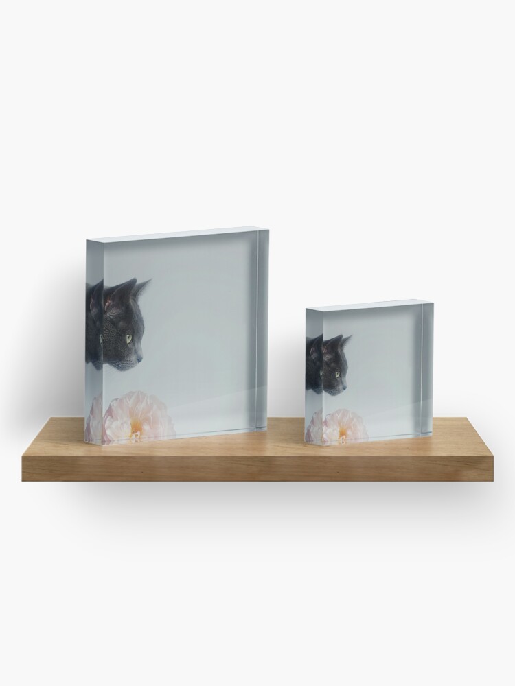 Alternate view of Russian Blue Acrylic Block