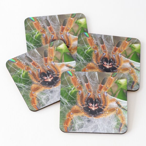 Item preview, Orange Baboon Fangs! designed and sold by mark-bugs-org.