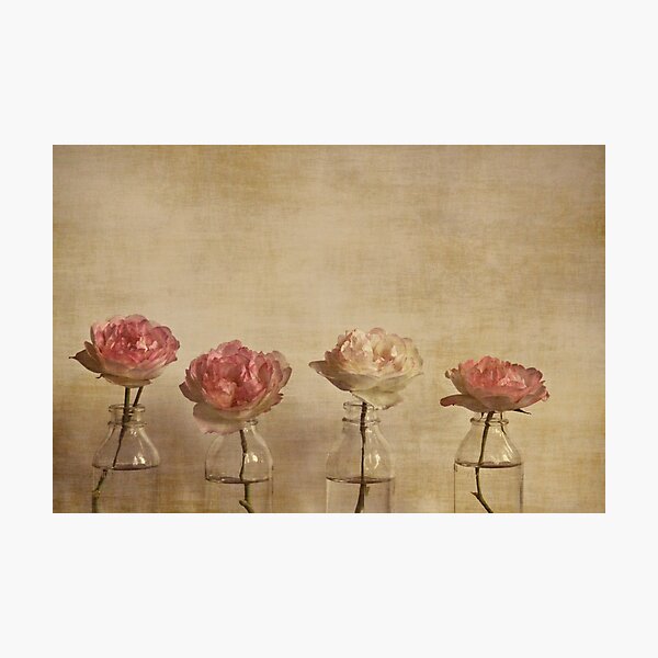 Cherished Photographic Print