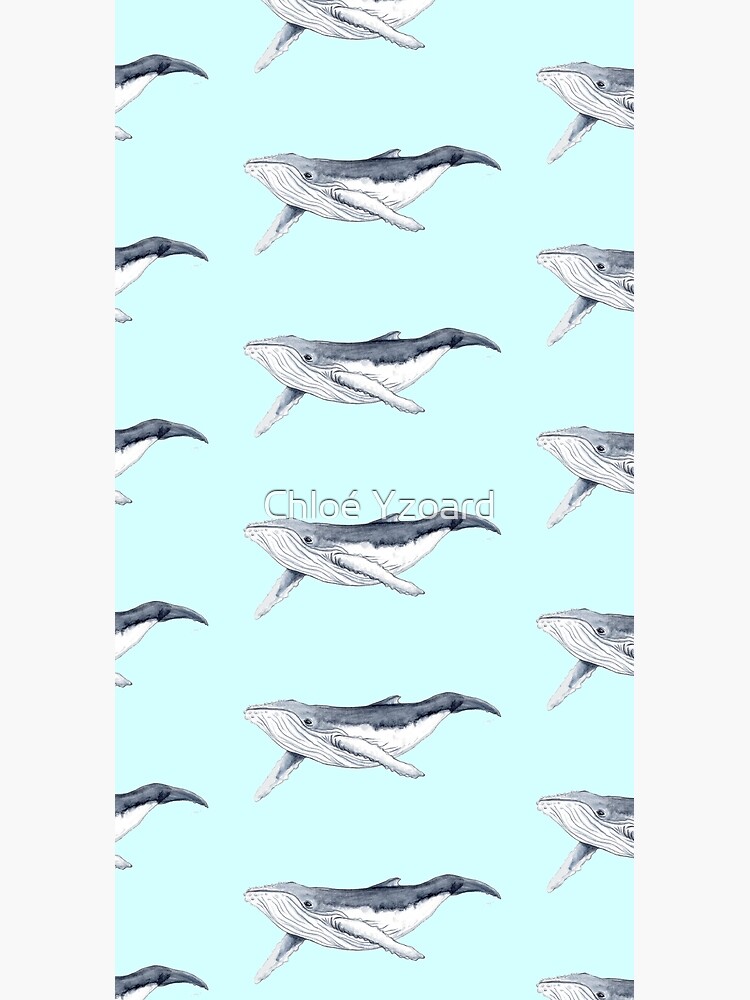 Humpback whale baby by CHLOEYZOARD