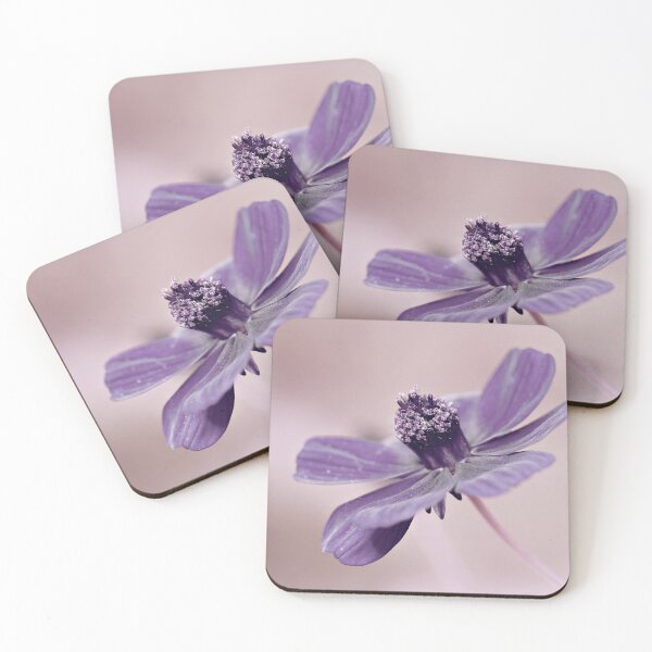 Item preview, Cosmos designed and sold by Anne Staub.