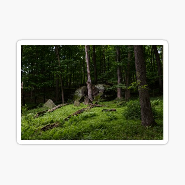 Item preview, Forest  designed and sold by astro-nature.