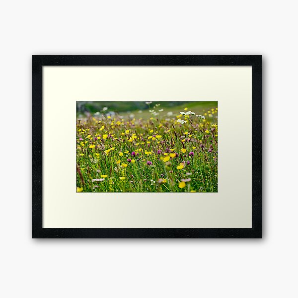 Reef Machiar Framed Art Print