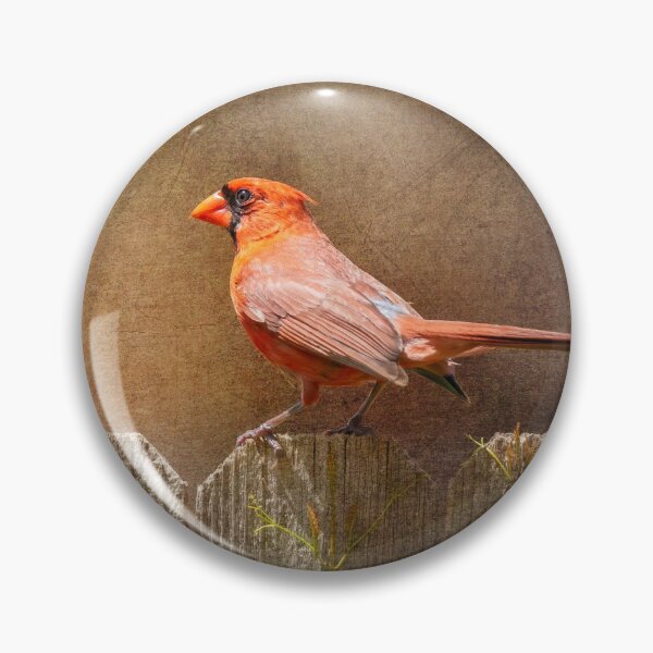 Item preview, Male Cardinal designed and sold by PhotoArt by Joan Carroll.