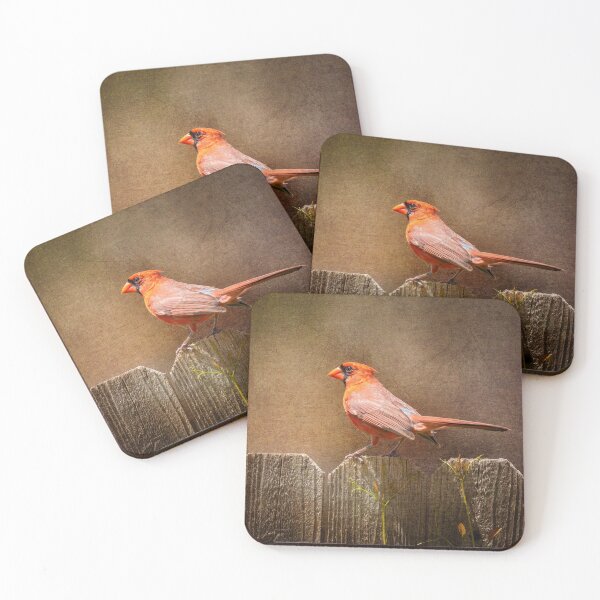 Item preview, Male Cardinal designed and sold by PhotoArt by Joan Carroll.