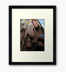 Slow Decline Framed Print