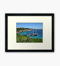 Monkey Island Framed Print