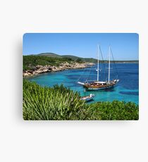 Monkey Island Canvas Print