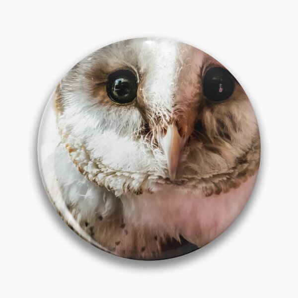 Item preview, Barn Owl in Colour  designed and sold by designbywhacky.