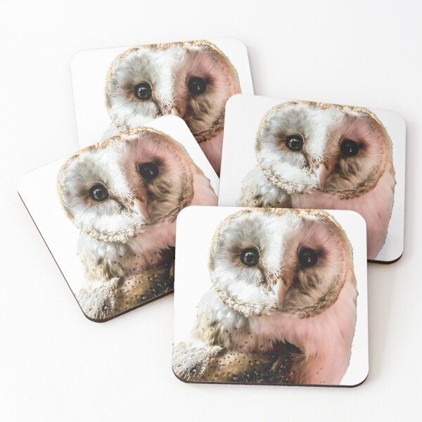 Item preview, Barn Owl in Colour  designed and sold by designbywhacky.