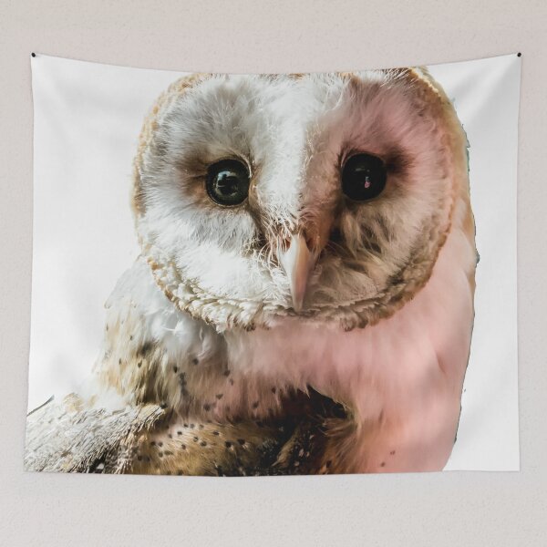 Item preview, Barn Owl in Colour  designed and sold by designbywhacky.