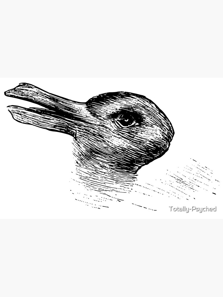 Vintage Duck Rabbit Illusion Psychology Classic Canvas sold by Emily ...