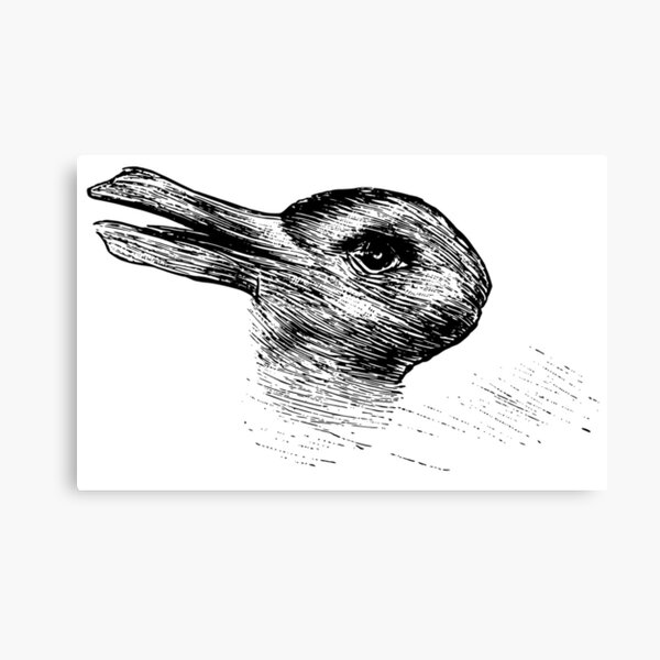 Vintage Duck Rabbit Illusion Psychology Classic Canvas Print