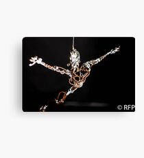 Sculptures Canvas Print