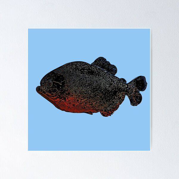 Red Bellied PIRANHA Watercolor Art for the Fishing Lovers and